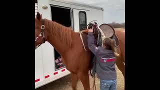 Master Saddles and Master Lightweights - starting at 15 pounds!