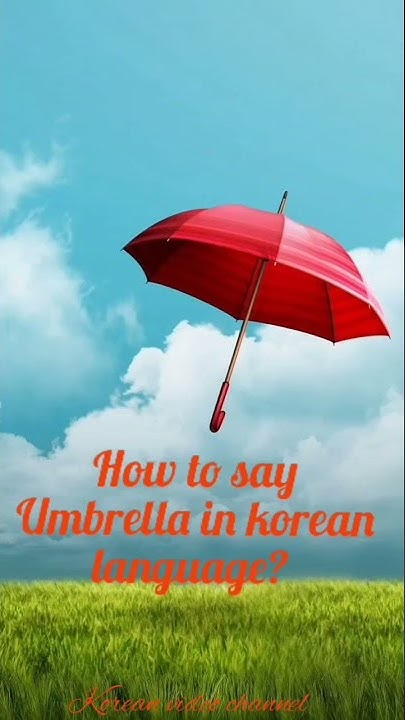 umbrella-umbrella-in-korean-language-how-to-say-umbrella-in-korean