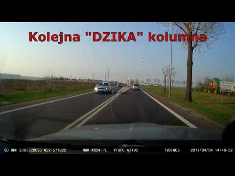 odc.80 Kolejna "DZIKA" kolumna w PL?