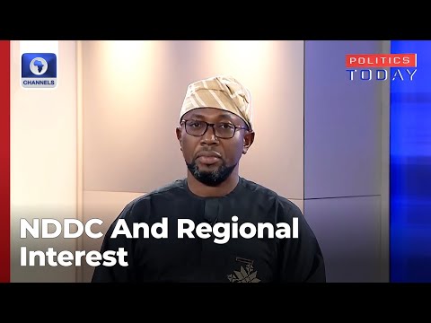 The NDDC Shouldn't Be Abolished; Instead, Those Misusing It Should Be Held Accountable- Analyst