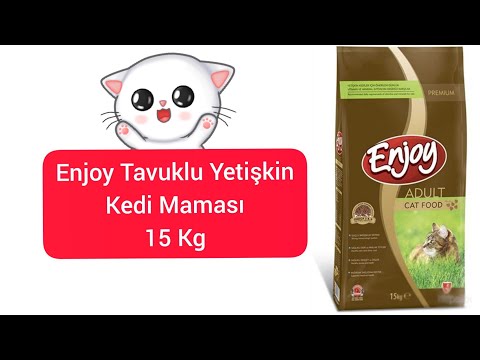 Enjoy Kedi Mamasi Mp3 Mp4 Indir Dur