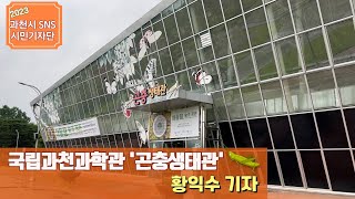 국립과천과학관 '곤충생태관'/실내 아이와 가볼만한 곳ㅣBy 황익수 기자