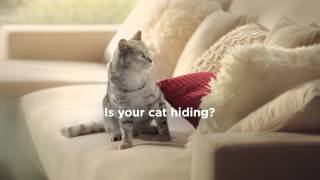 Hill's™ Science Plan™ Urinary Health for cats