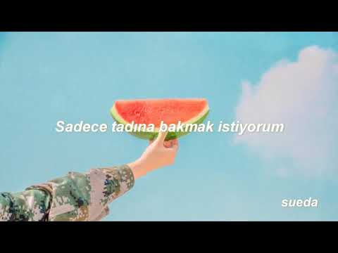 Harry Styles - Watermelon Sugar (Türkçe Çeviri)