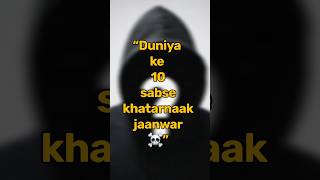 Top 10 Dangerous Animals In The World