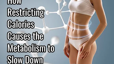 How Restricting Calories Causes the Metabolism to ...