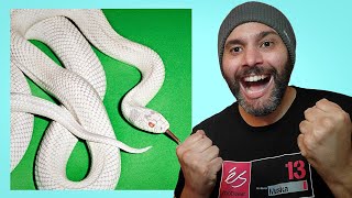 Deftones Private Music ALBUM REVIEW