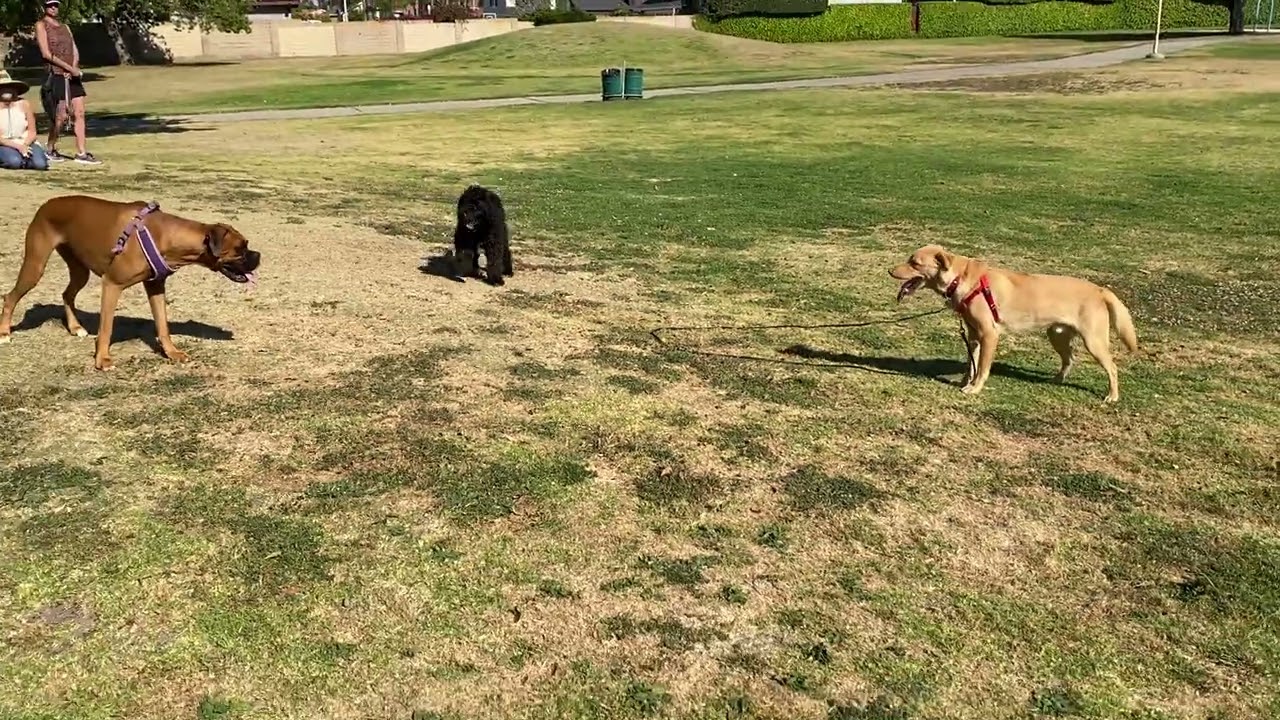 Safe Play Interactions at Seeley Park