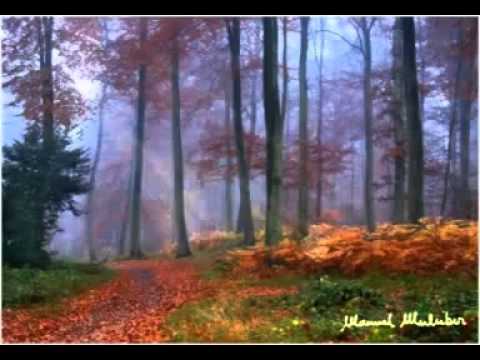 edilberto torres karate reflexion