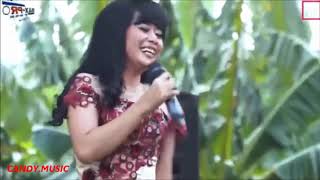 Sayang 3  New Pallapa 2018