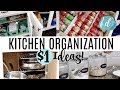 KITCHEN ORGANIZATION ON A DIME!  💙 Dollar Tree Deals & More!