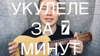 картинка: УКУЛЕЛЕ ЗА 7 МИНУТ | КАК НАУЧИТЬСЯ ИГРАТЬ НА УКУЛЕЛЕ С НУЛЯ