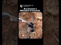 Bro become a Millionaire in Seconds – Must Watch!