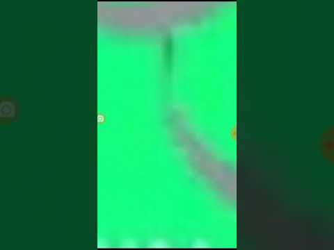 Zoom It To MBC Masr Basma