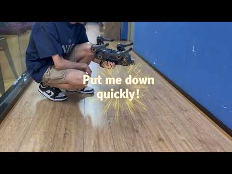 Behind-the-Scenes #5: Check out UGOT's Movement Algorithms in Action!