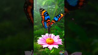 😳 2 Mind Blowing Animal Facts Jo Aapko Hairaan Kar Denge | 3D Animation #shorts