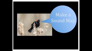 Make a Sound Map