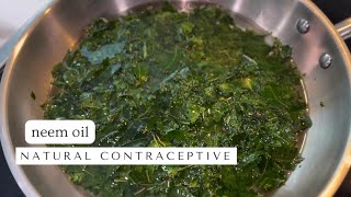Making Neem Oil to Use as a Natural Contraceptive