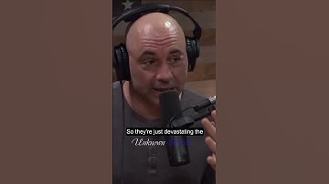 Snakes vs Alligators in the Everglades - Joe Rogan