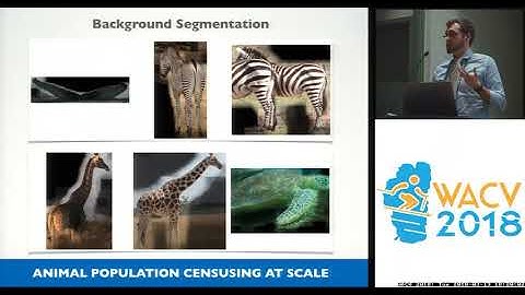 WACV18: An Animal Detection Pipeline for Identification