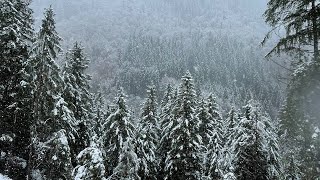 Альпийский снежный Oberstdorf 🇩🇪