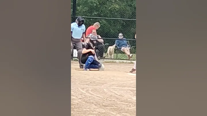 Alexa catching
