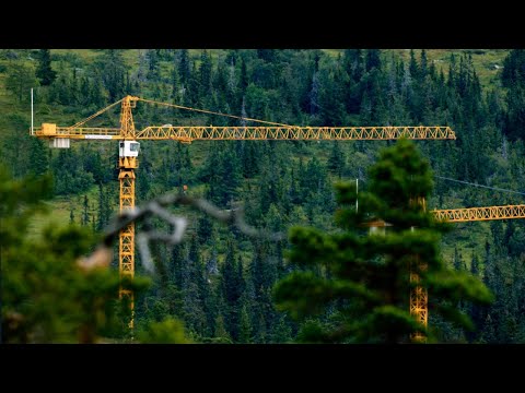 Video: Hvorfor døde frøplanten min: Identifisere og fikse vanlige frøplanteproblemer