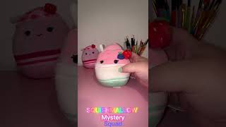 Squishmallow Mystery Squad💖 #squishy #squishmallows #mystery #unboxing #blindbag #sanantonio #htx