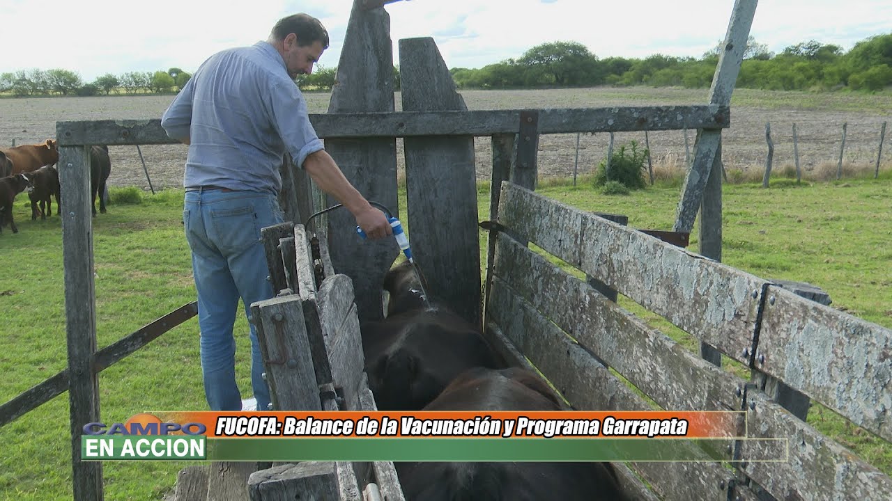 Balance Programa Garrapata y Vacunación Aftosa - Matías Martiarena