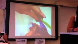 Famous Construct parallel lines using the rhombus method Net Worth