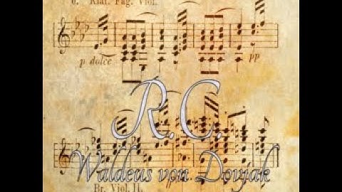 R.C. // Waldeus von Dovjak (ESP) [DDR NovaMAX ONE MORE EXTRA STAGE LEVEL 3]