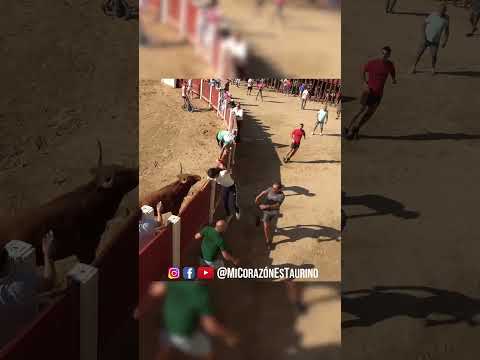 Peñafiel 2026 Vídeo completo aquí: https://youtu.be/eLwVWAlCVqI?si=YNIZrgOReIdhyPMn  👈