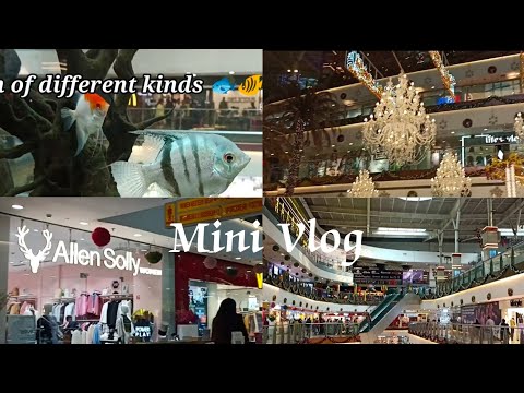 Visit To Mall ( Mini Vlog ) l First Vlog l @cutebunny01