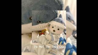 I'm Not The Only One - Sam Smith speed up