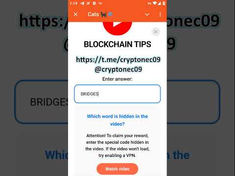 CATS - BLOCKCHAIN