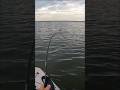 MASSIVE Fish Hooked on TINY Kayak!!