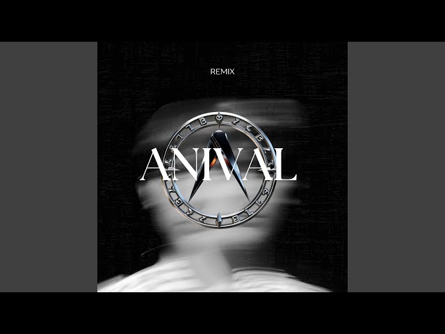 Vielleicht Vielleicht (ANIVALRemix)
