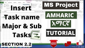 Ms project Amharic አማርኛ tutorial from beginners to advance Insert major and minor task section 2.2