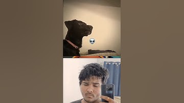 Give this video a name (wrong answers only)