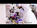 Forensic Accounting Services in Albuquerque, NM