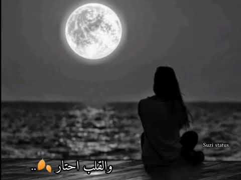 أمير الإحساس والرومنسية هاني شاكر معقول تنساني حبيبي عي حالات واتس آب حزينه تصميمي
