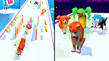 Groomer run 3D 🐕❤️🐩 All Levels Gameplay (iOS,Android)