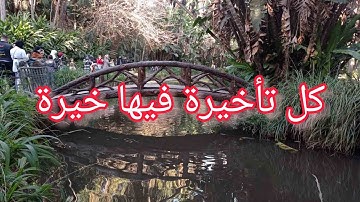 علمتني سورة يوسف ان الجبر الالهي اذا تاخر لا ياتي عاديا ابدا