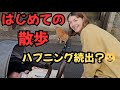 【トラブル続出】生後1ヶ月の赤ちゃんとお散歩！！！