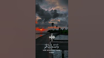 القران الكريم(بصوت عبد الرحمن مسعد) صوت هادئ  (تلاوة خاشعة )وجميل.