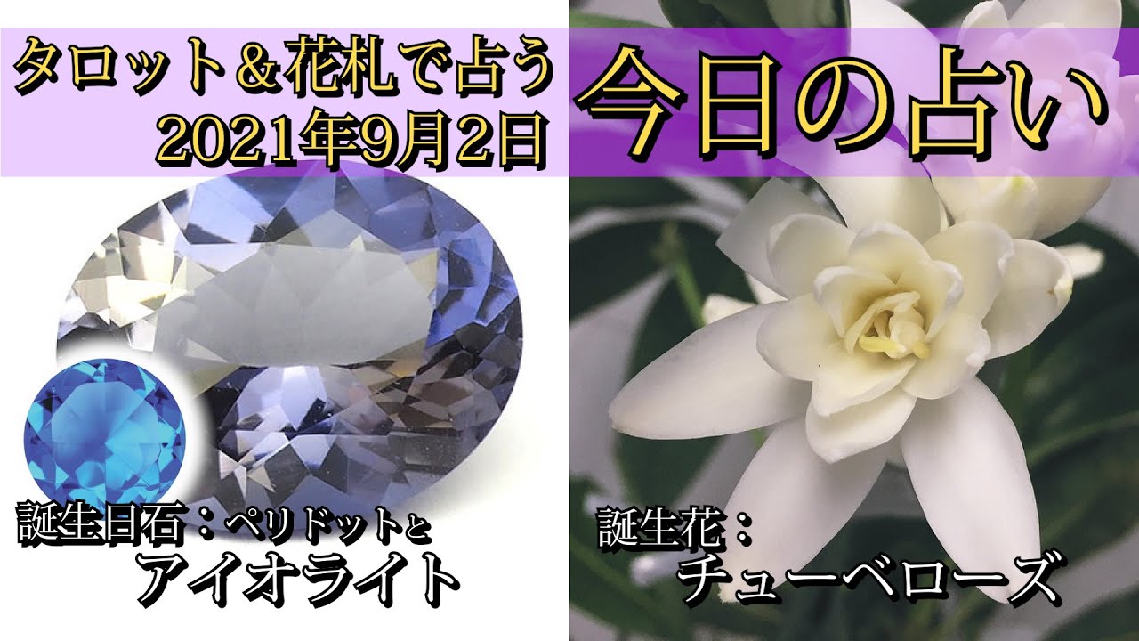 今日の占い 21年9月2日の占い タロット 花札 Youtube