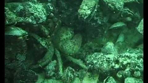 GeoEcoMar RV Mare Nigrum English version part 1