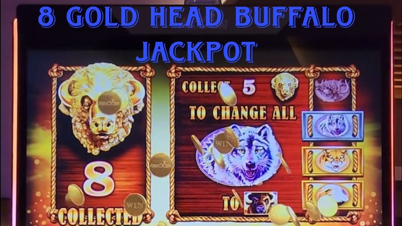 Midday Jackpot at Portsmouth Rivers Casino riverscasino buffalogold 