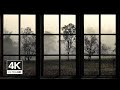4K Cozy Quiet Autumn Morning Window View - Relaxing, Calming, Ambience 8 hours(ASMR)
