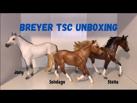 Unboxing Breyer’s TSC